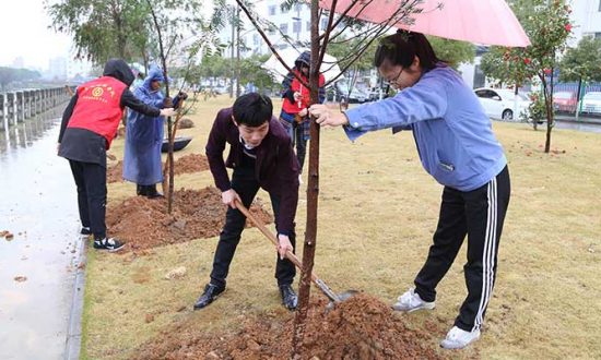 合兴携同中行举办第二届新婚夫妇“爱情林”植树护树活动