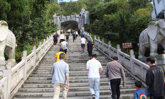 合兴举行第七届重阳节登山比赛